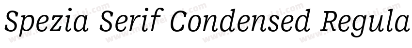 Spezia Serif Condensed Regular D字体转换